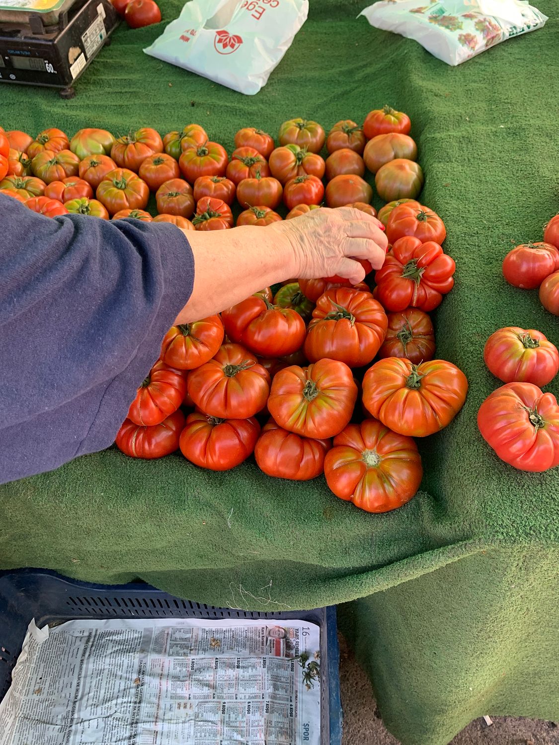 Tomatoes at the market